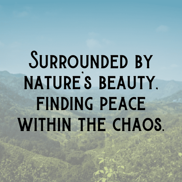 Nasturtium Captions Photo For Instagram-JidNWe