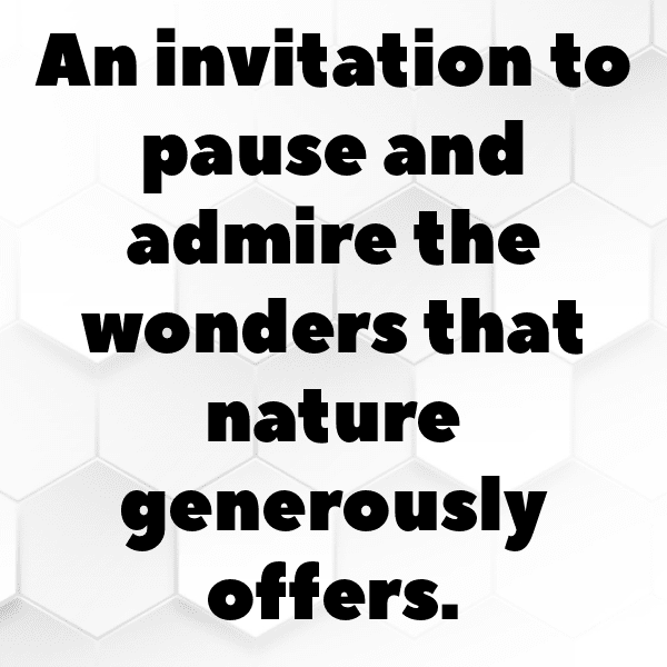 Natural Wonder Captions Photo for Instagram-4ghIgV