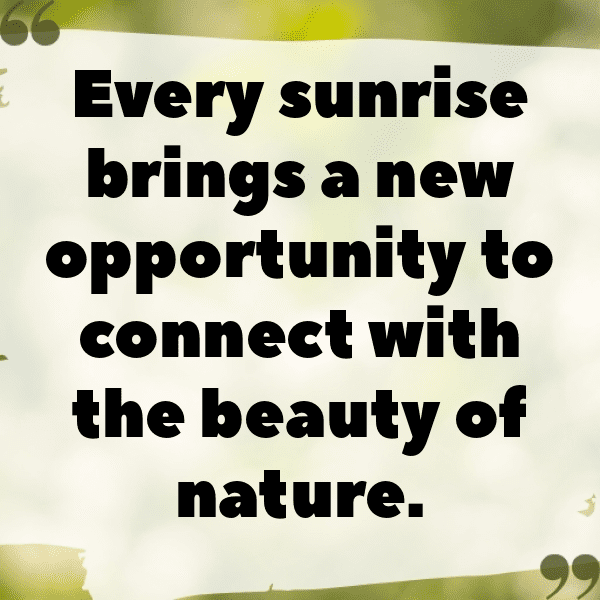 Nature Escape Captions Photo for Instagram-ec1Mht