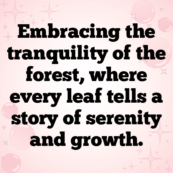 Nature Escape Captions Photo for Instagram-Xx1KAG