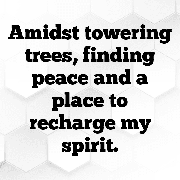 Nature Meditation Captions Image for Instagram-oPpviO