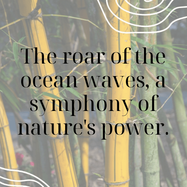 Nature Meditation Captions Image for Instagram-vSHVt4