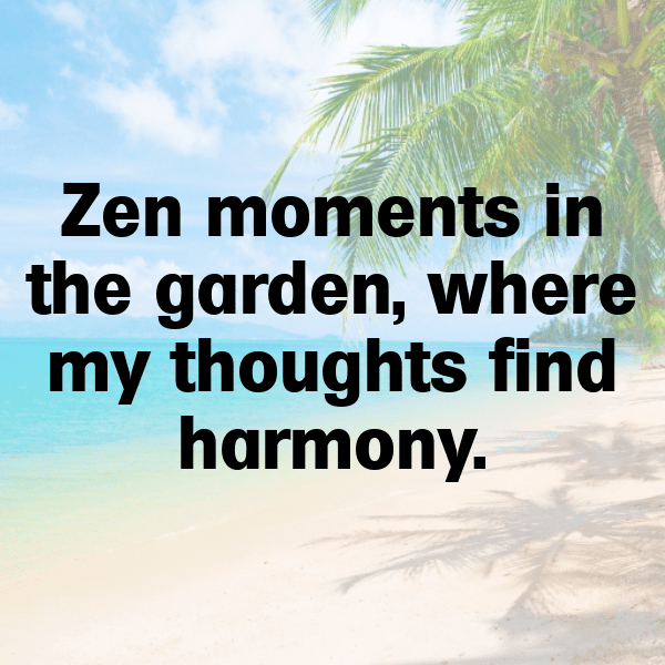 Nature Meditation Captions Photo for Instagram-9KS4fu