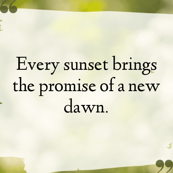 Nature Meditation Captions Photo for Instagram-PCL4XL