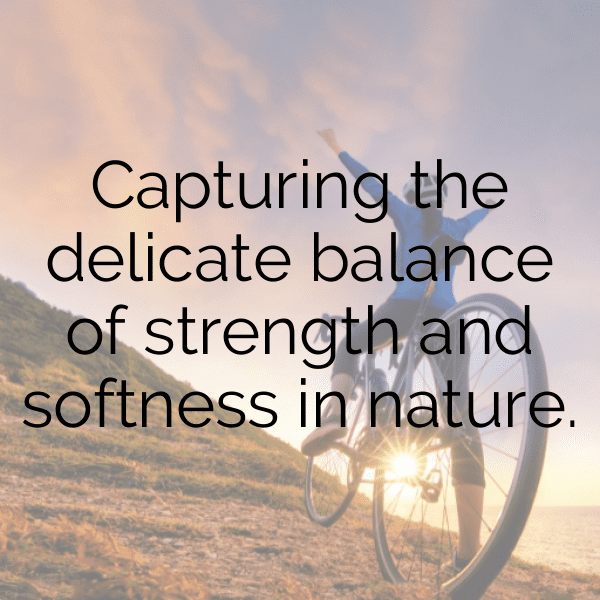Nature Photography Captions Image for Instagram-I2c18r