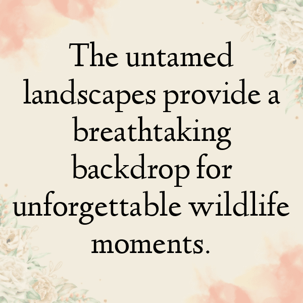 Nature Photography Captions Image for Instagram-SbEntQ