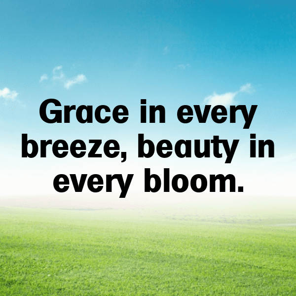 Nature Photography Captions Photo for Instagram-NX5W4R