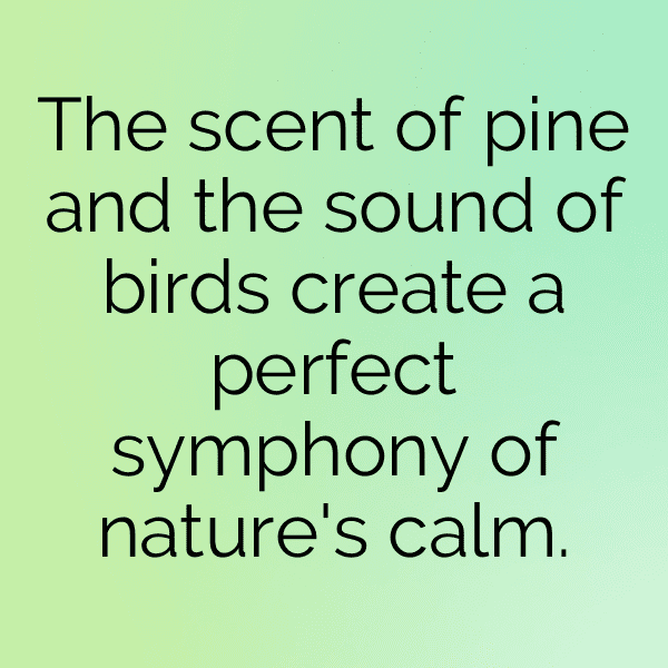 Nature Picnic Captions Photo for Instagram-CwknRH