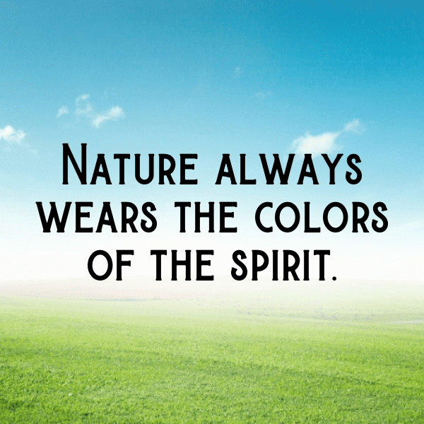 Nature Picnic Captions Photo for Instagram-qx18qq