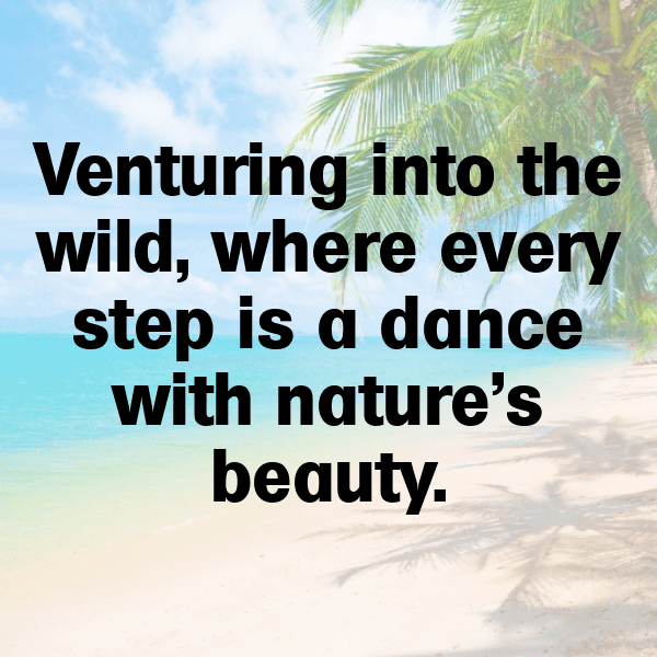 Nature Picnic Captions Photo for Instagram-TVHM9e