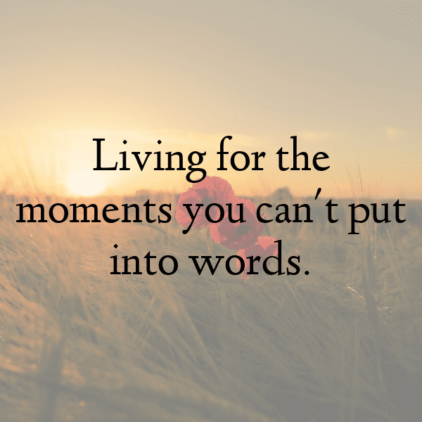 Nature Picnic Captions Photo for Instagram-XlijET