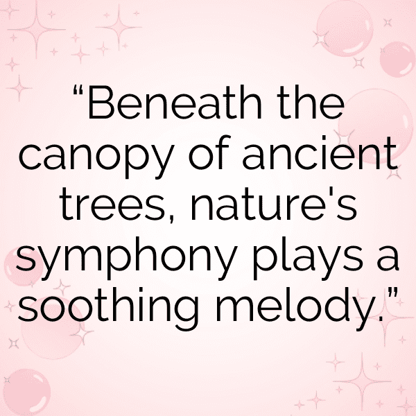 Nature Retreat Captions Photo for Instagram-MOMR5t