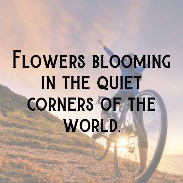 Nature Retreat Captions Photo for Instagram-RfV3Y1