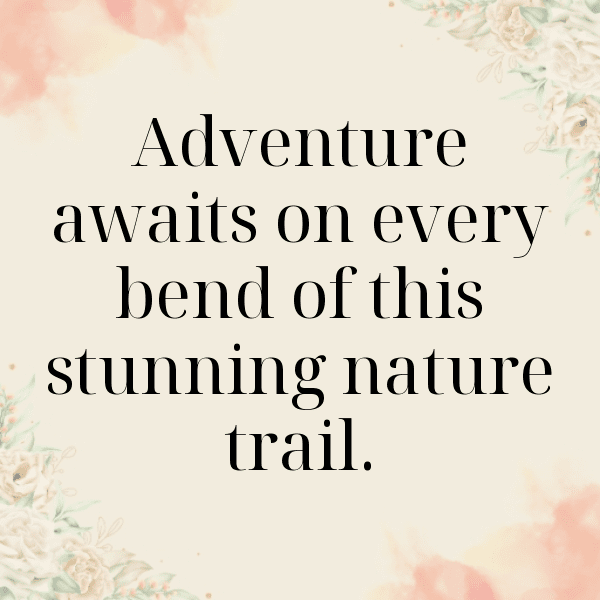 Nature Trail Captions Photo for Instagram-A23ltI