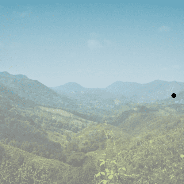 Nature's Beauty Captions Image for Instagram-2qaXWK