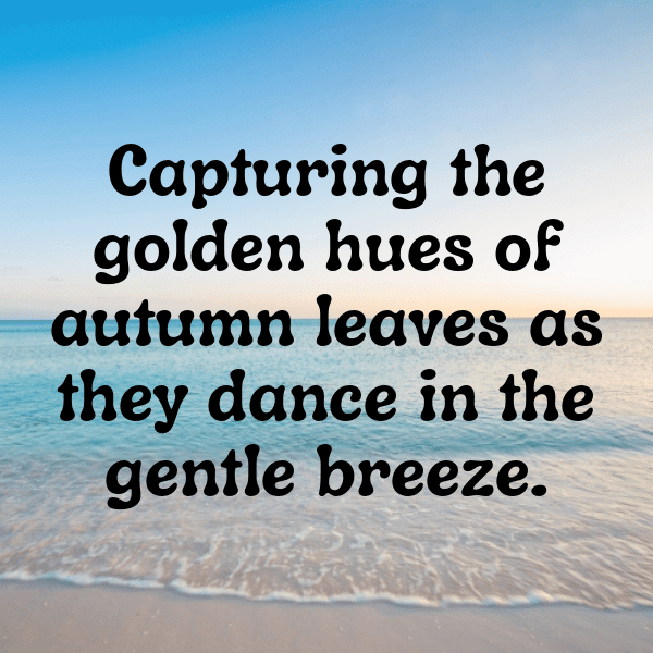 Nature's Beauty Captions Image for Instagram-Bhfnq7