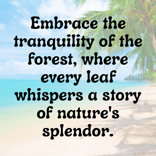 Nature's Beauty Captions Image for Instagram-hAHuyH