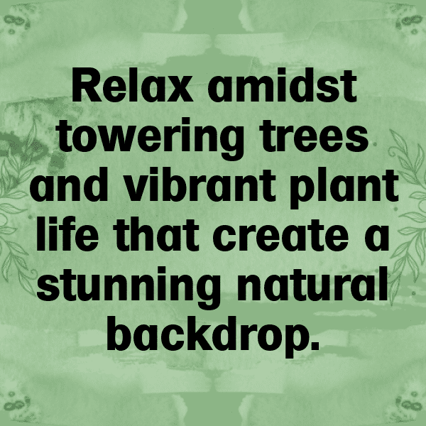 Nature's Bounty Captions Image for Instagram-fcuRnJ