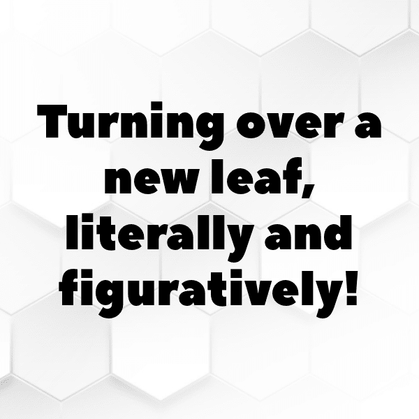 Nature's Bounty Captions Photo for Instagram-z7dAVl