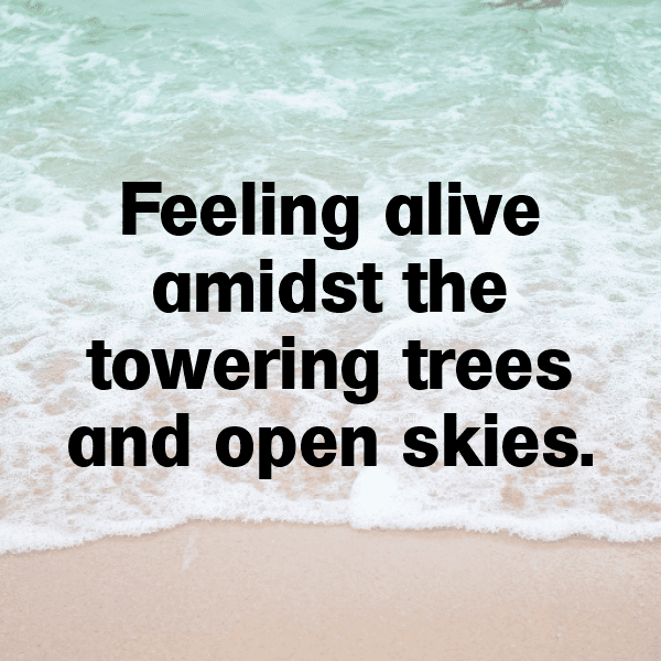 Nature's Canvas Captions Image for Instagram-C4WyZy