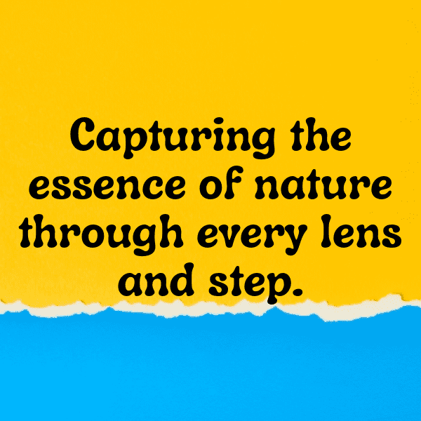 Nature's Marvel Captions Photo for Instagram-A65cTy