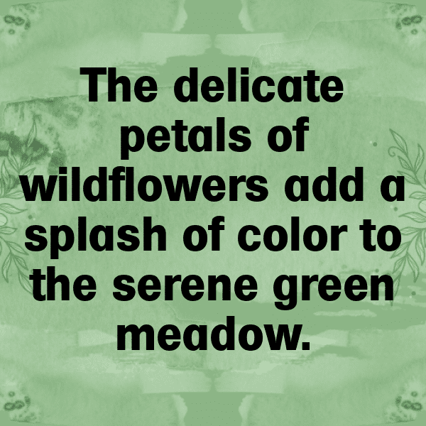 Nature's Marvel Captions Photo for Instagram-FvBqPi