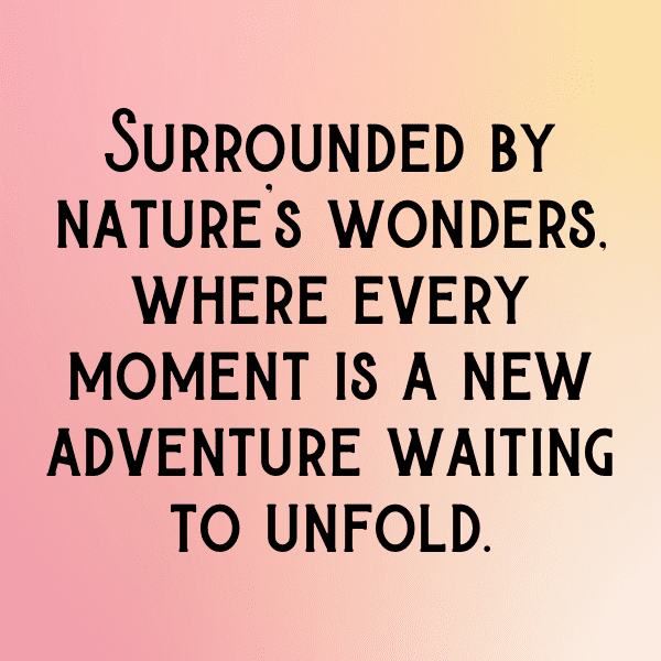 Nature's Marvel Captions Photo for Instagram-zMFyDJ