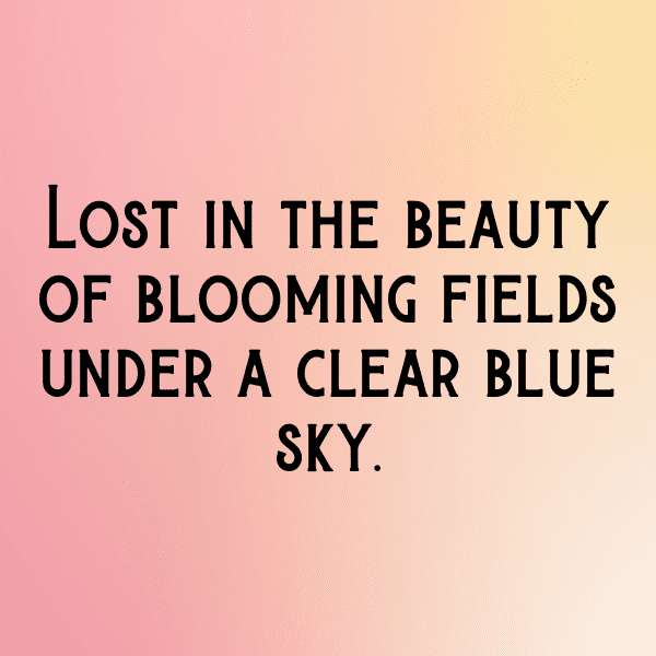 Nature's Marvel Captions Photo for Instagram-ZO24Pr