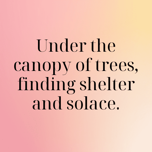 Nature's Reflection Captions Photo for Instagram-4MEFFH