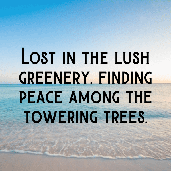 Nature's Reflection Captions Photo for Instagram-4ves9h