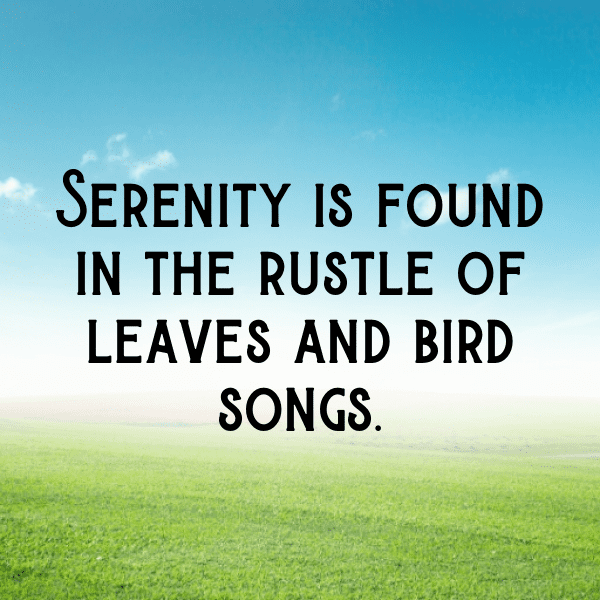 Nature's Reflection Captions Photo for Instagram-5c2fBM