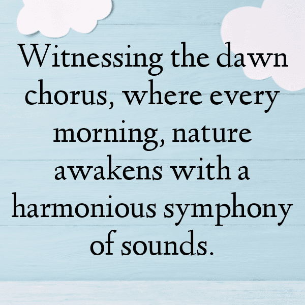 Nature's Symphony Captions Image for Instagram-AhaDkm