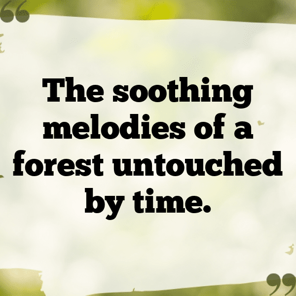 Nature's Symphony Captions Photo for Instagram-X7uXQR