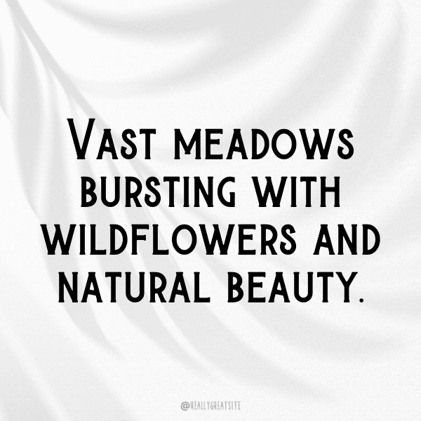 Nature's Whisper Captions Image for Instagram-eZQe6G