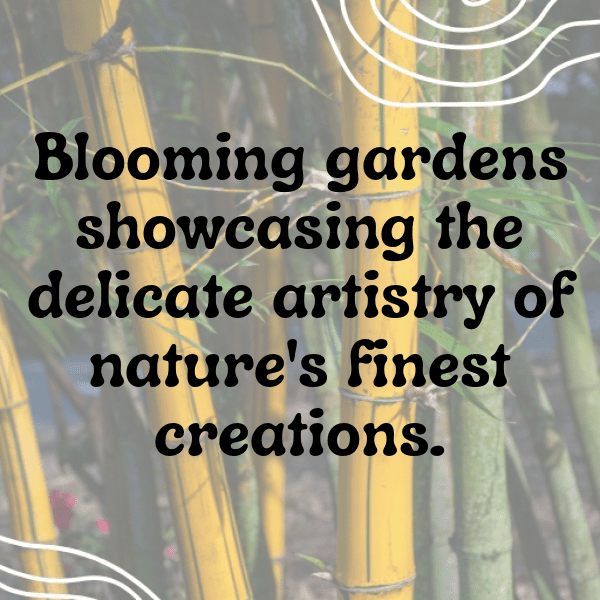 Nature's Whisper Captions Photo for Instagram-E0JkoE