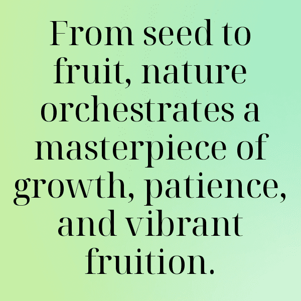 Nectacotum Captions Image For Instagram-5XBhKN