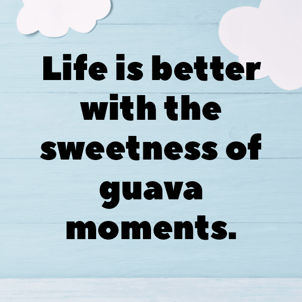 Nectacotum Captions Photo For Instagram-FaUAhD