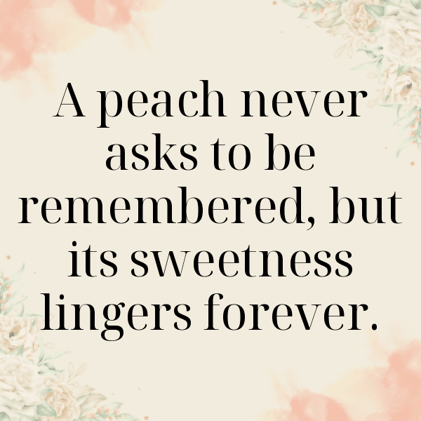 Nectarine Captions Photo For Instagram-T4Fmj6