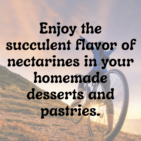 Nectarine Captions Photo For Instagram-US2gdr