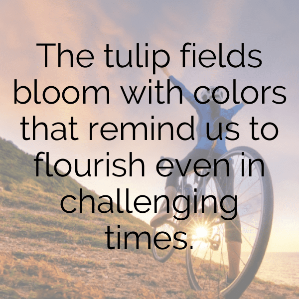 Netherlands Captions Image For Instagram-o0xjRI