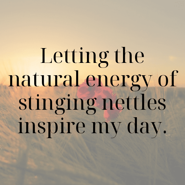 Nettle Captions Photo For Instagram-c7HCYa