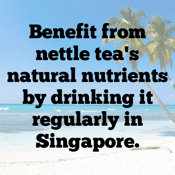 Nettle Captions Photo For Instagram-GV065J