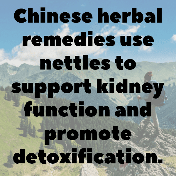 Nettle Captions Photo For Instagram-Hs5JvO