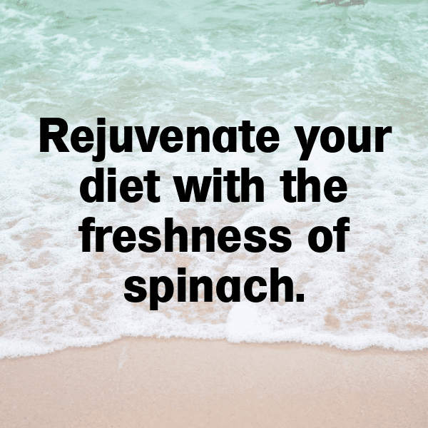 New Zealand Spinach Captions Image For Instagram-Pl2k86