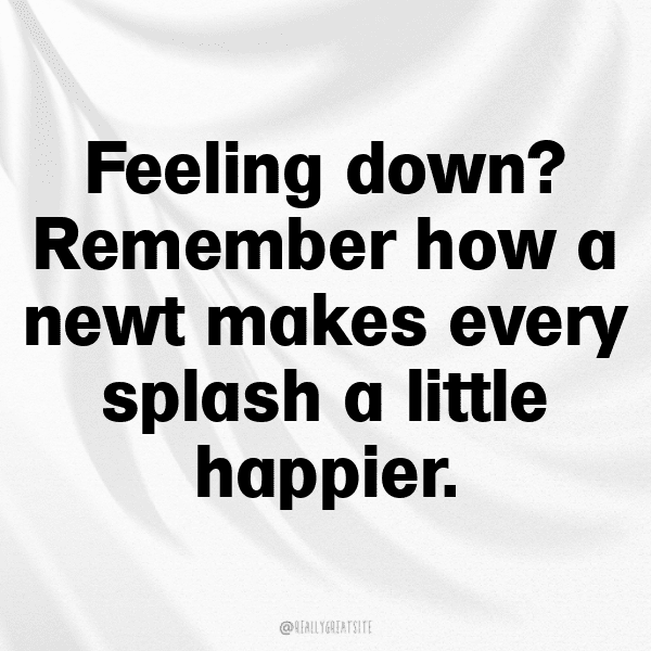 Newt Captions Photo For Instagram-WfnNVJ