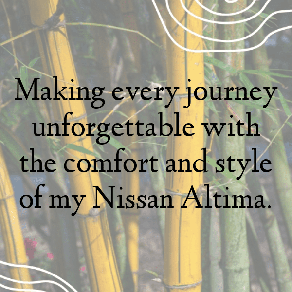 Nissan Altima Captions Photo for Instagram-5IQM13