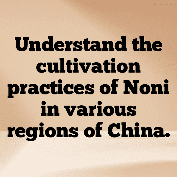 Noni Fruit Captions Photo For Instagram-8DiqA8