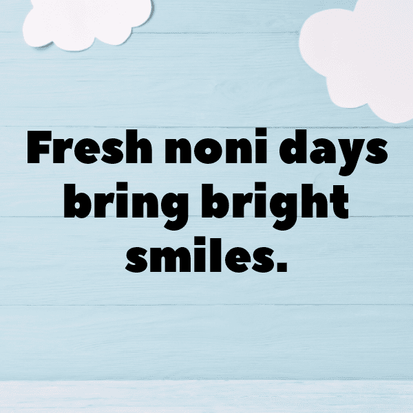 Noni Fruit Captions Photo For Instagram-tC9QRO