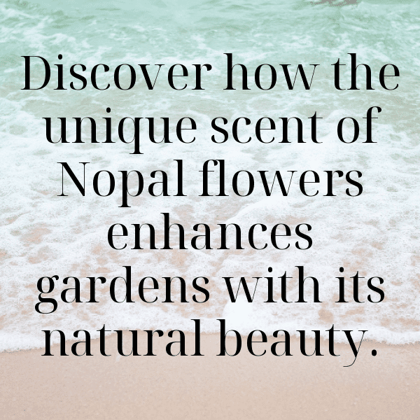 Nopal Captions Image For Instagram-lq6i8K