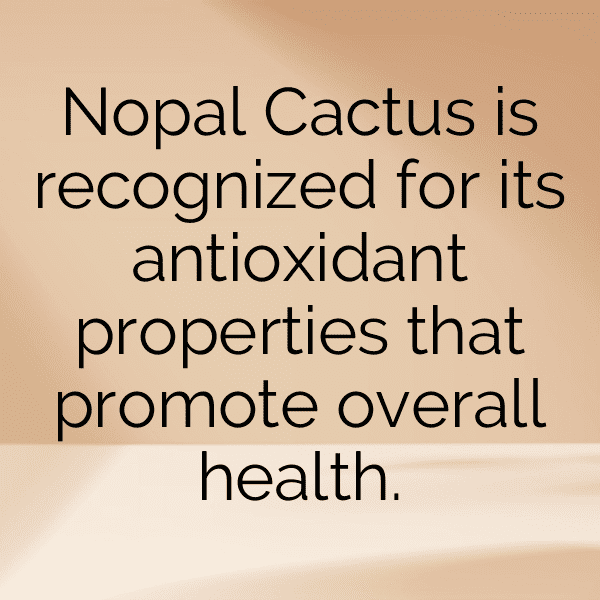 Nopal Captions Photo For Instagram-MOwuyu